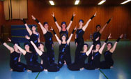 Gymnastikverein